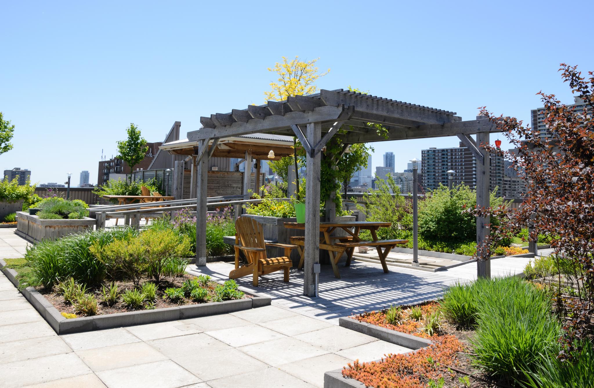 Rooftop Garden